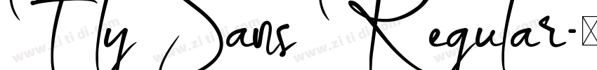 Fly Sans Regular字体转换